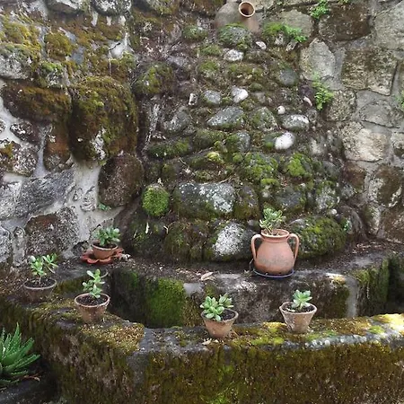 Quinta Da Azenha * Castelo Novo