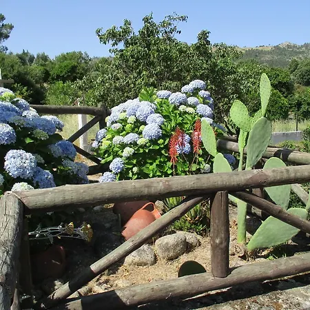 Quinta Da Azenha Εξοχικό σπίτι