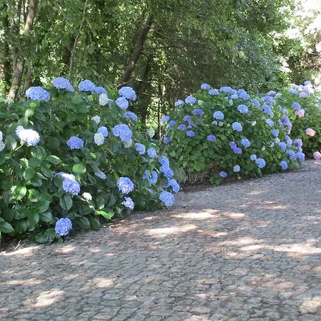 Quinta Da Azenha Εξοχικό σπίτι *